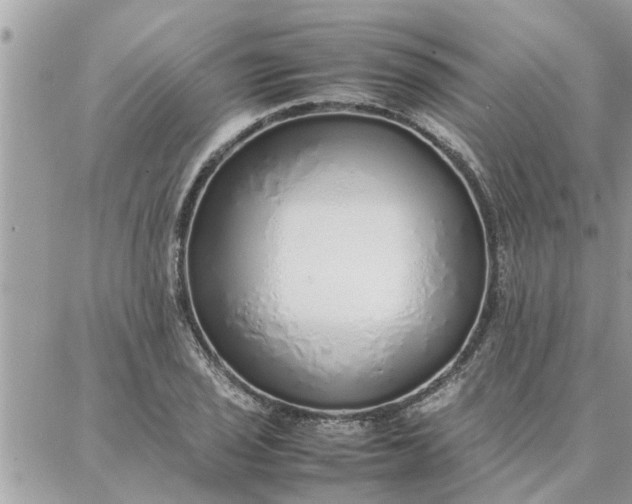 X0000087361029200705041850