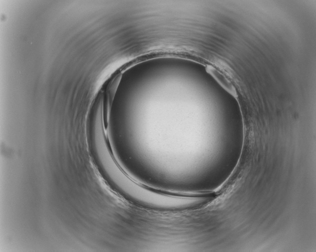 X0000087361030200705041850