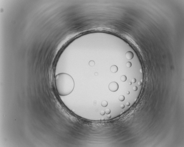 X0000087361032200705041850