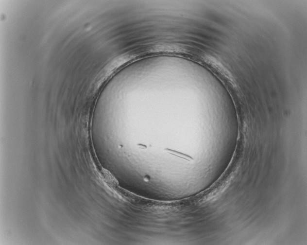 X0000087361033200705041850