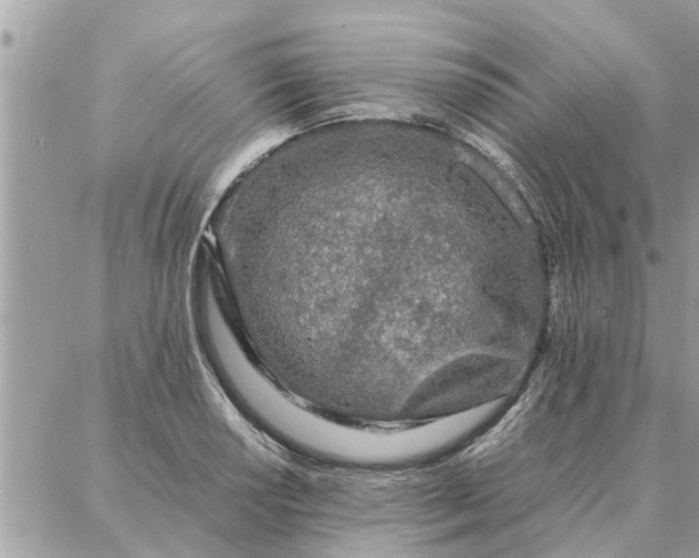 X0000087361034200705041850