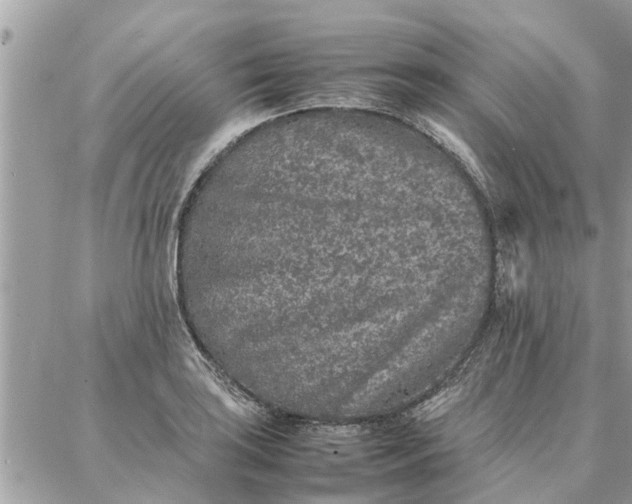 X0000087361035200705041850