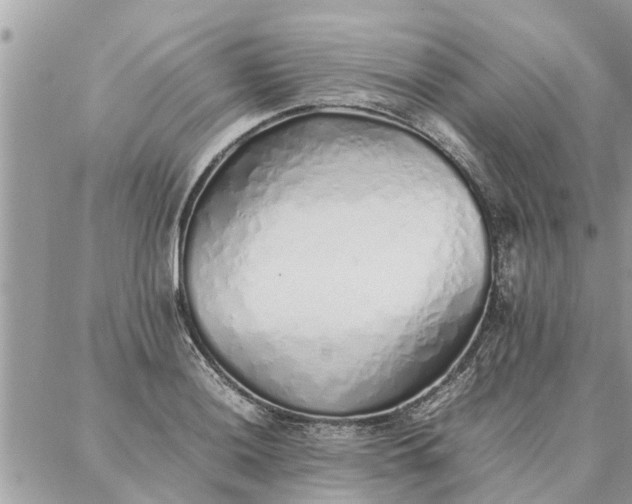 X0000087361036200705041850