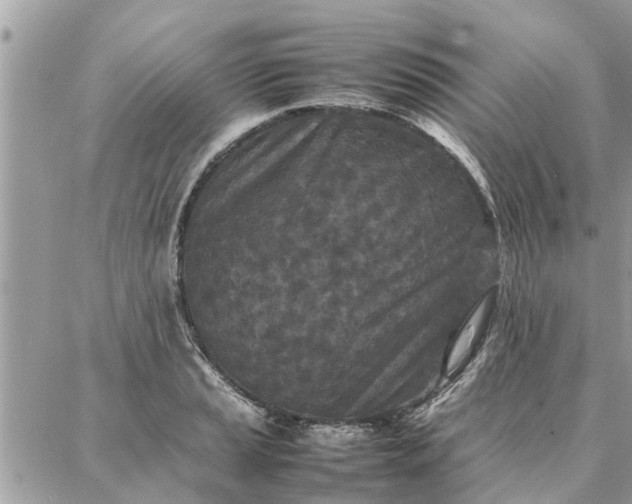 X0000087361037200705041850