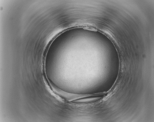 X0000087361038200705041850