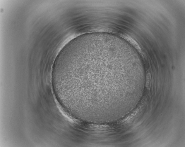 X0000087361039200705041850