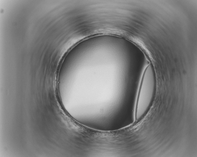 X0000087361040200705041850