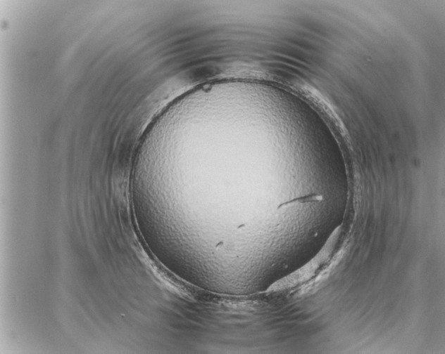 X0000087361041200705041850