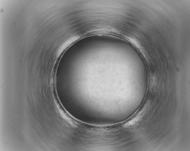 X0000087361042200705041850