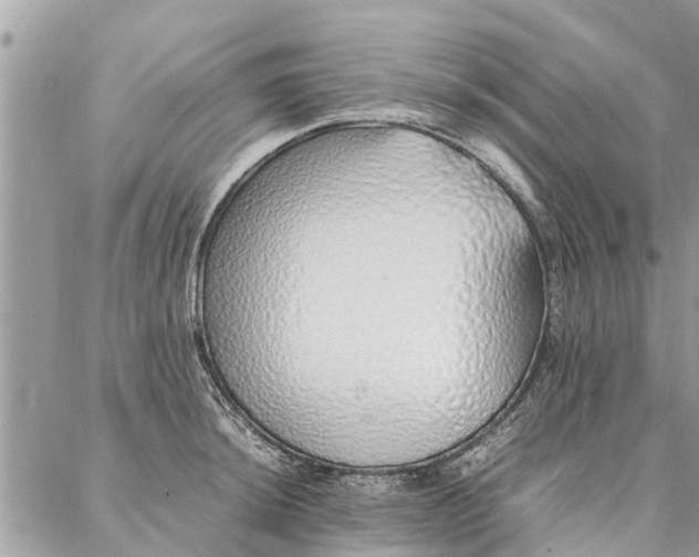 X0000087361044200705041850