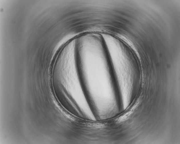 X0000087361045200705041850