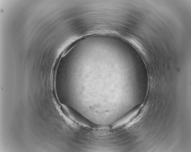 X0000087361046200705041850