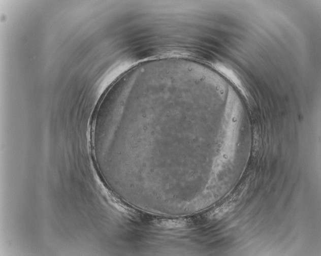 X0000087361047200705041850