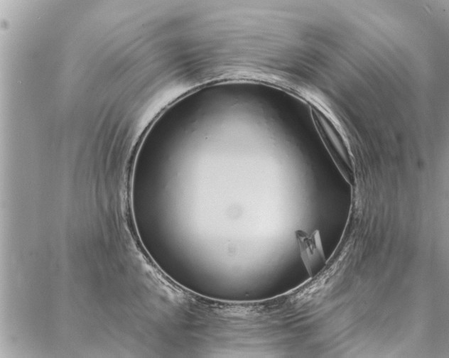 X0000087361048200705041850