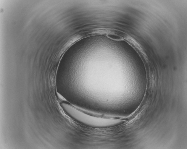 X0000087361049200705041850