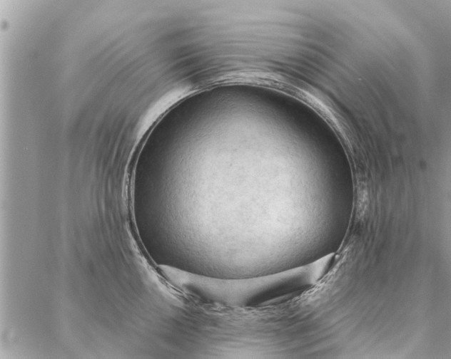 X0000087361050200705041850