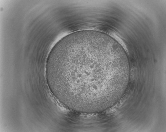 X0000087361051200705041850