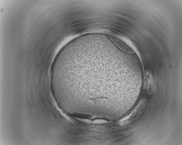 X0000087361053200705041850