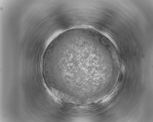 X0000087361054200705041850