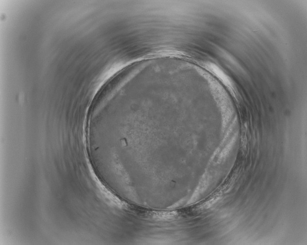 X0000087361055200705041850