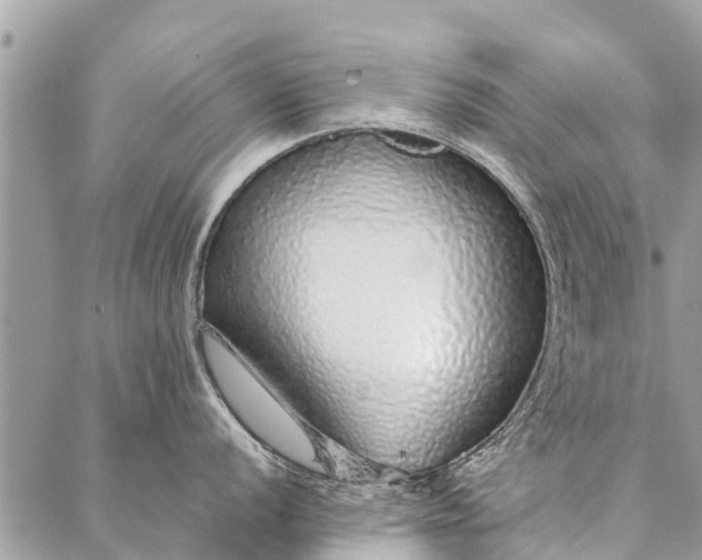 X0000087361056200705041850