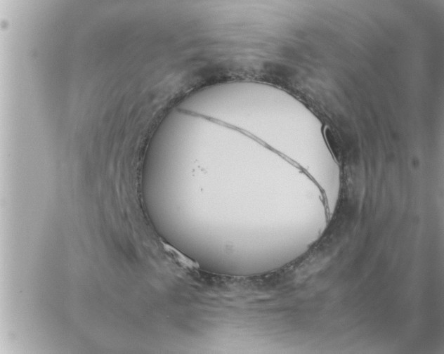 X0000087361057200705041849