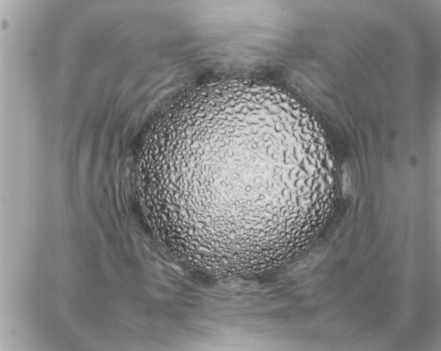 X0000087361059200705041849