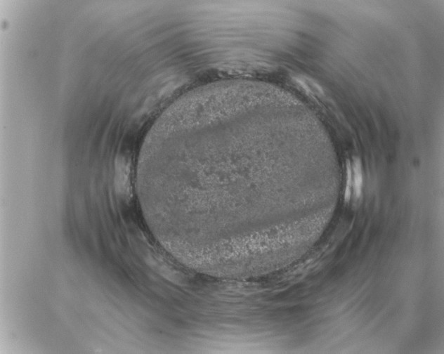 X0000087361060200705041849