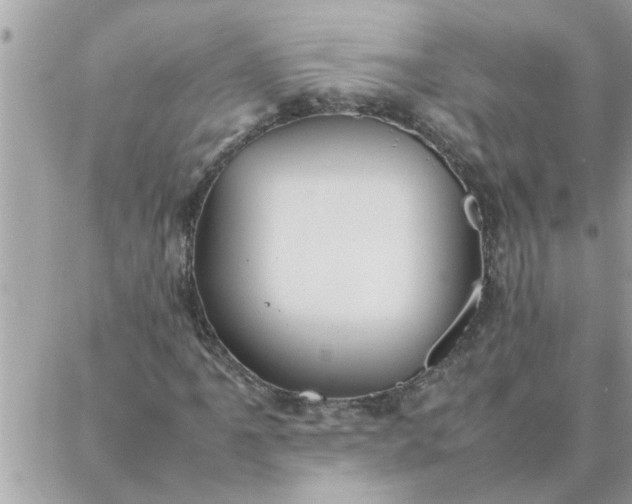 X0000087361061200705041849