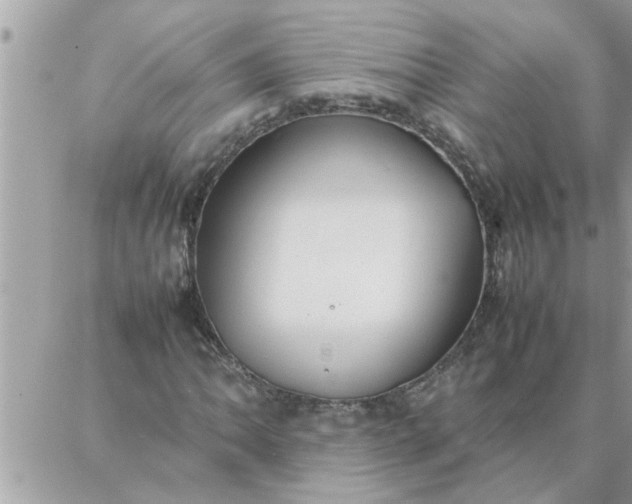 X0000087361062200705041849