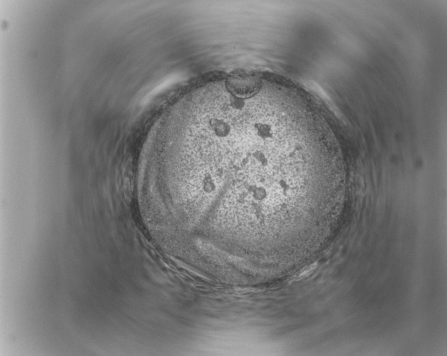 X0000087361063200705041849