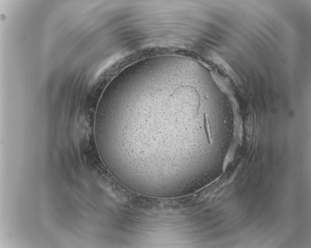 X0000087361064200705041849