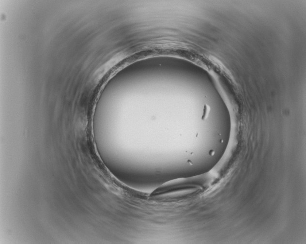 X0000087361065200705041849