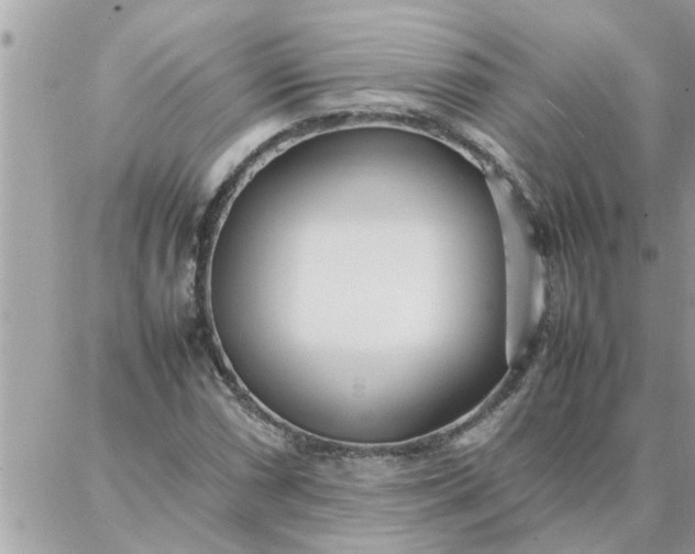 X0000087361066200705041849