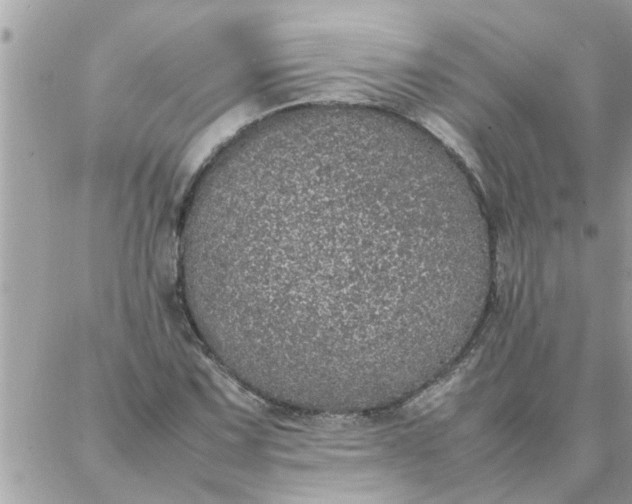 X0000087361067200705041849