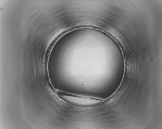 X0000087361068200705041849