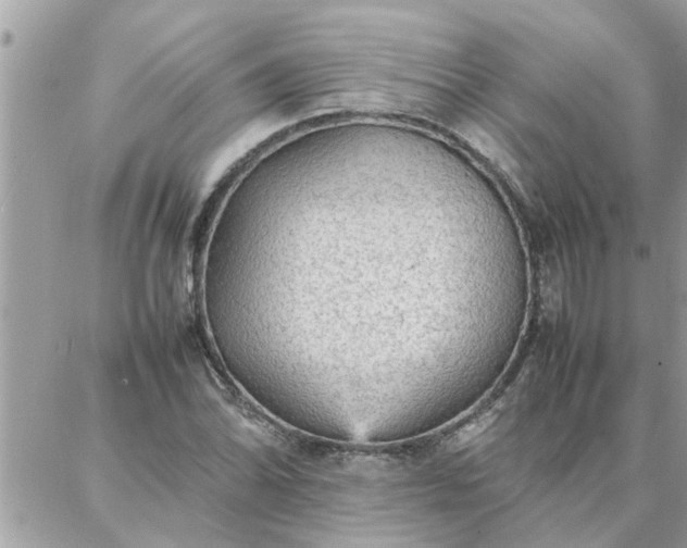 X0000087361070200705041849