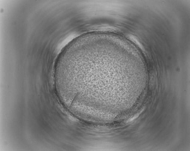 X0000087361071200705041849