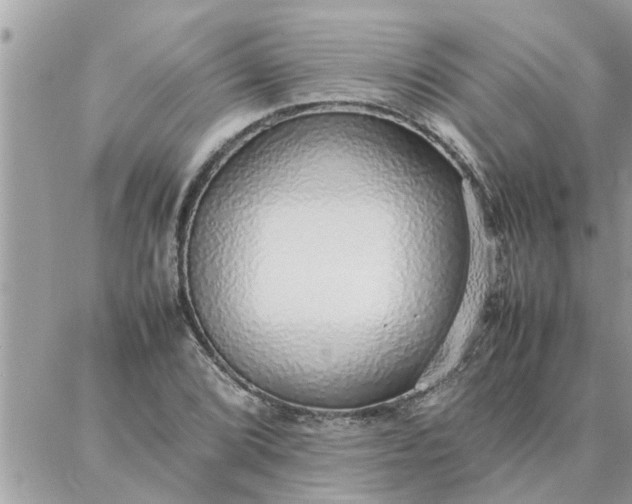 X0000087361072200705041849