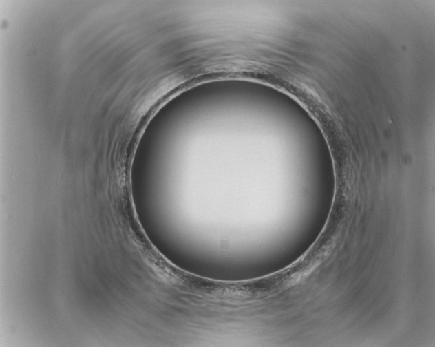 X0000087361073200705041849