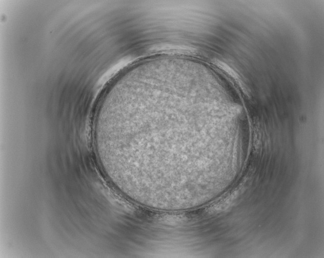 X0000087361074200705041849