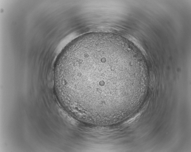 X0000087361075200705041849