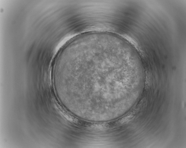 X0000087361078200705041849