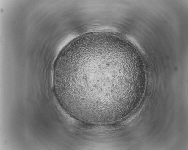 X0000087361079200705041849