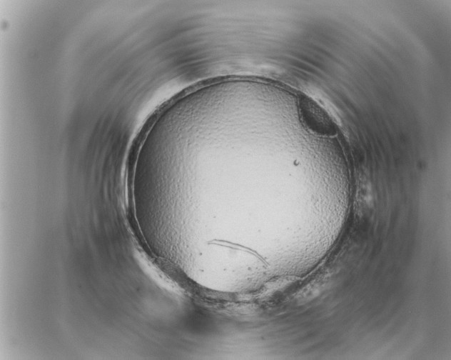 X0000087361080200705041849