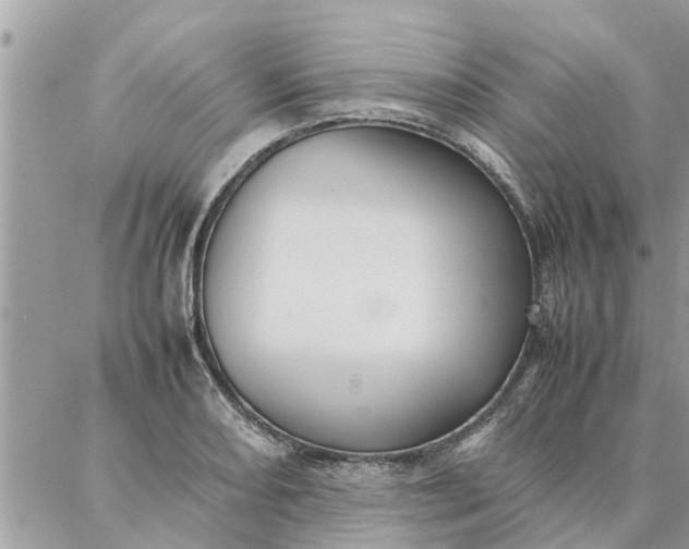 X0000087361082200705041849