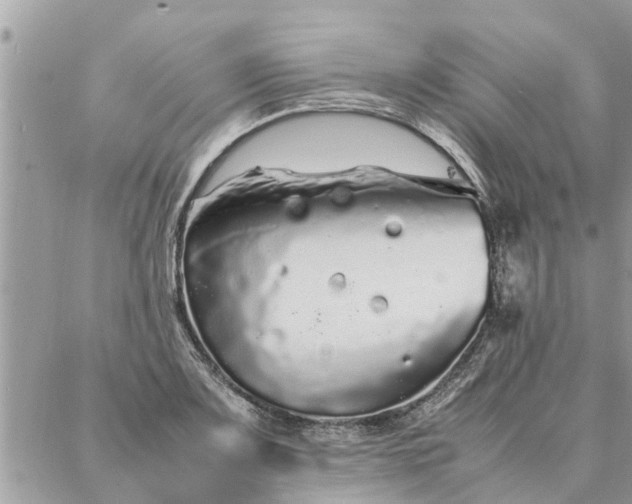 X0000087361083200705041849