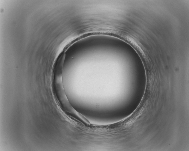 X0000087361085200705041849