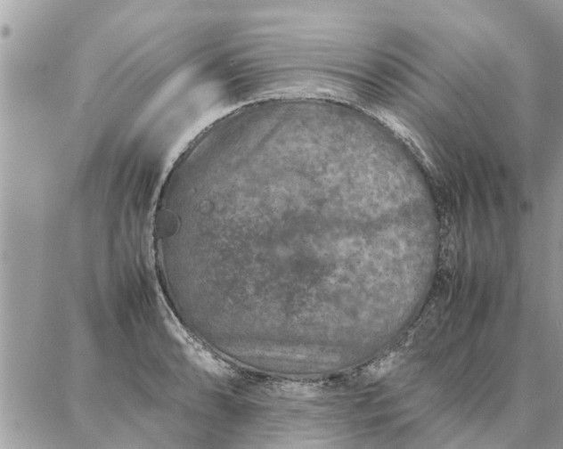 X0000087361086200705041849