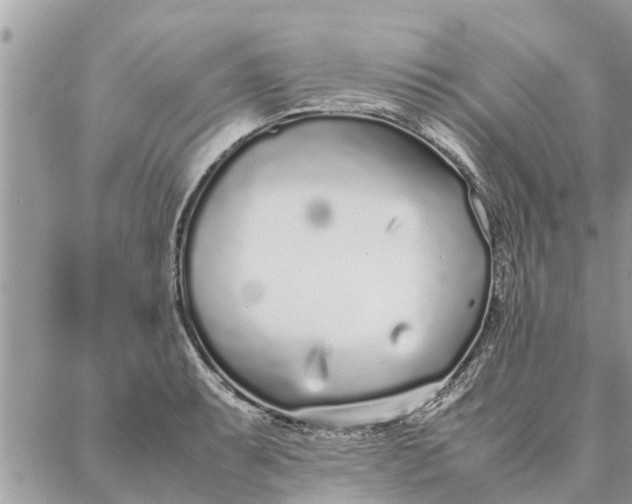 X0000087361087200705041849